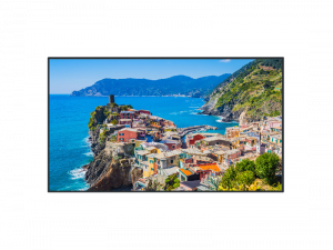 55 inch  Display - Panasonic TH-55EQ2W (new) purchase