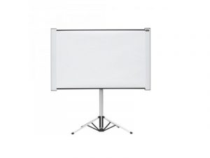 Tripod screen - Celexon Dual Format (new) purchase