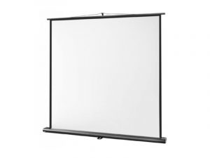 Pull-up screen - Celexon Professional (new) purchase