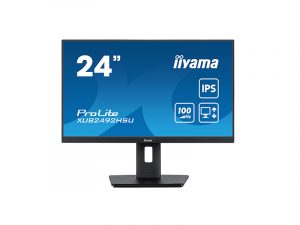 24 Inch Desktop Monitor Widescreen - iiyama XUB2492HSU-B6 (new) purchase