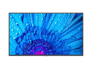 43 Zoll UHD Display - NEC MultiSync M431 USB-C (Neuware) kaufen