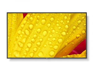 50 Zoll UHD Display - NEC MultiSync M501-2 (Neuware) kaufen